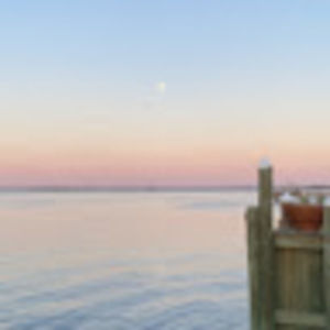 Meet your Posher, Brett